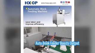 HX100 Automatic Block Feeding Machine